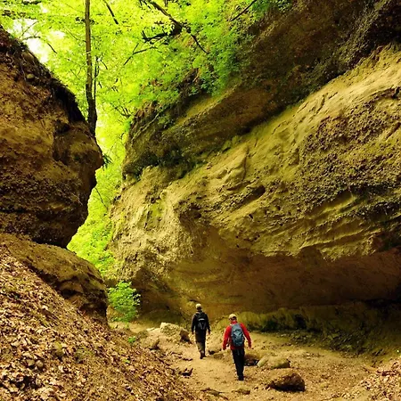 Central Apartman شقة *