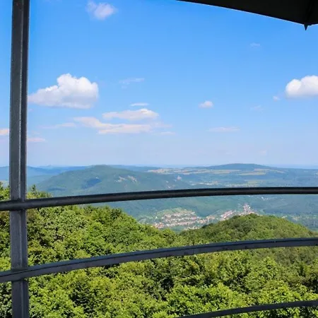 Central Apartman شقة *