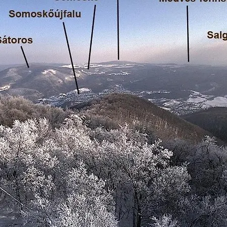 Central Apartman شقة