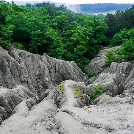 شقة Central Apartman *