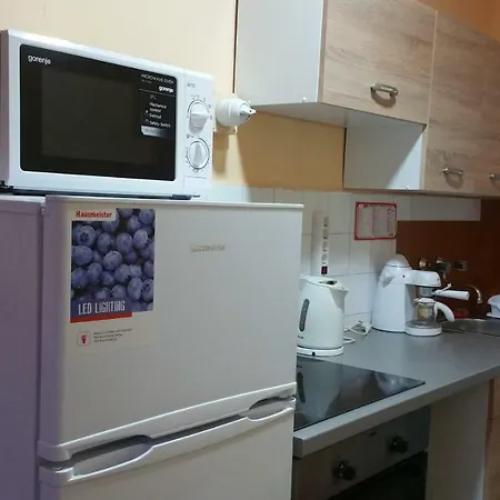 公寓 Central Apartman Salgótarján